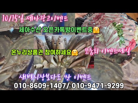 10/15일 세아광고이벤트 킹크랩  대게  모둠회 04시반 정규라이브(월~토)☝️Only one 새롭고 싸고 다양한 노량진수산시장 새벽 쇼핑을 돕는 정규생방송(Live)운영~