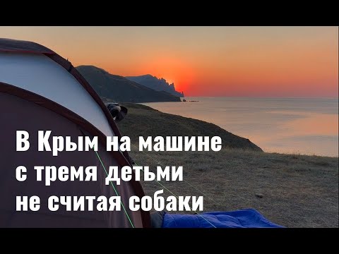 Белокуриха дикарями на машине