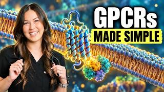 G Protein-Coupled Receptors: Gq, Gs, and Gi Pathways Explained