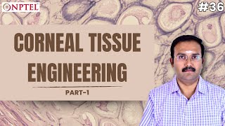 #36 Corneal Tissue Engineering | Part 1 | Introduction to Tissue Engineering
