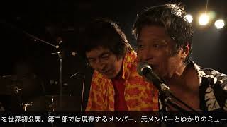邦楽 THE FOOLS LIVE FREEDOM 邦楽 THE FOOLS LIVE FREEDOM THE FOOLS LIVE FREEDOM