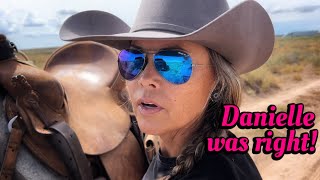 FIRST BIG RAIN!! | MOVING COWS | NEW HORSE