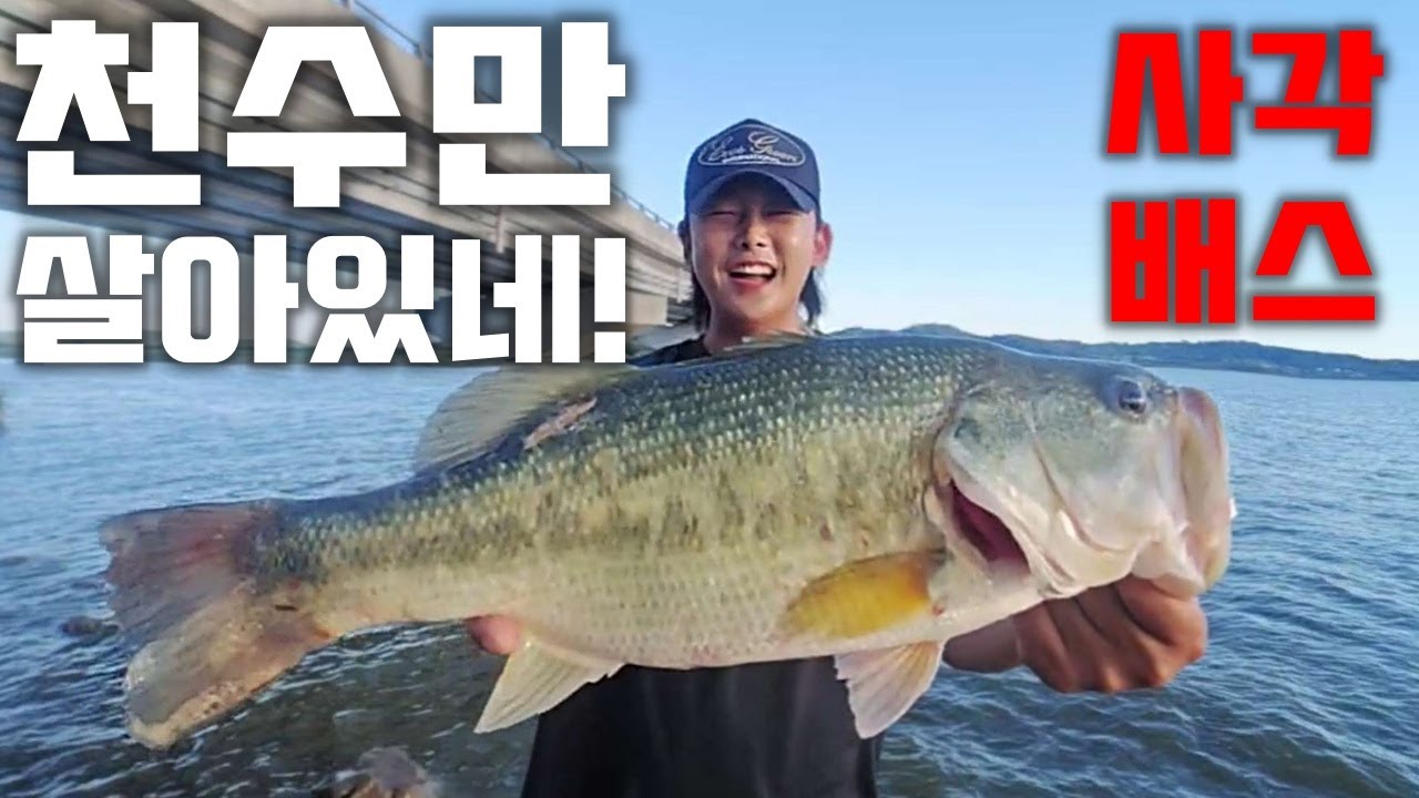 간만에 천수만 다녀왔습니다.역시 사각배스!   -bass fishing- バス釣り