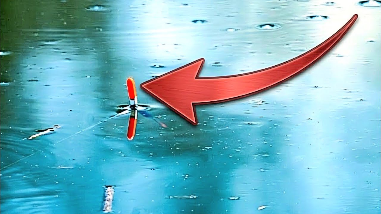 Dlaczego wciąż kocham bata? Ta seria Brań mówi sama za siebie! Wędkarstwo Spławikowe