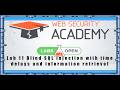 SQL Injection Lab 11 Blind SQL injection with time delays and information retrieval