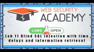SQL Injection Lab 11 Blind SQL injection with time delays and information retrieval