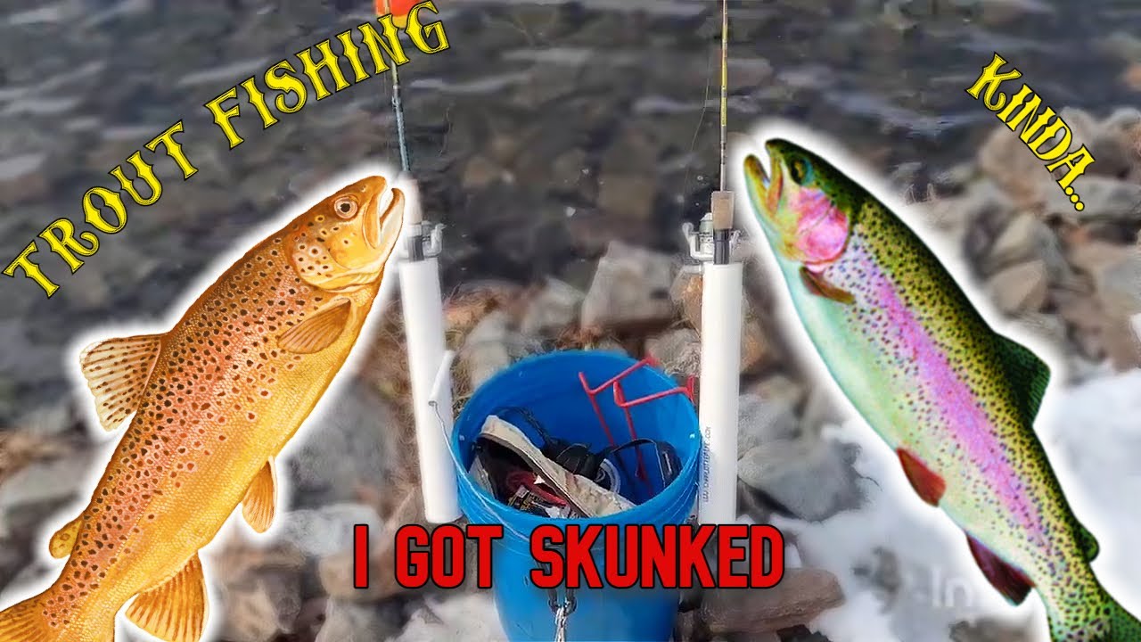 Trout Fishing YouTube