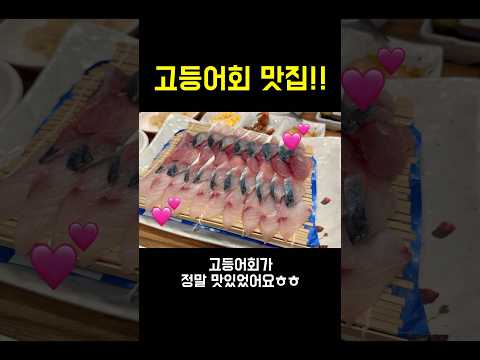 자리돔횟집 영상맛집