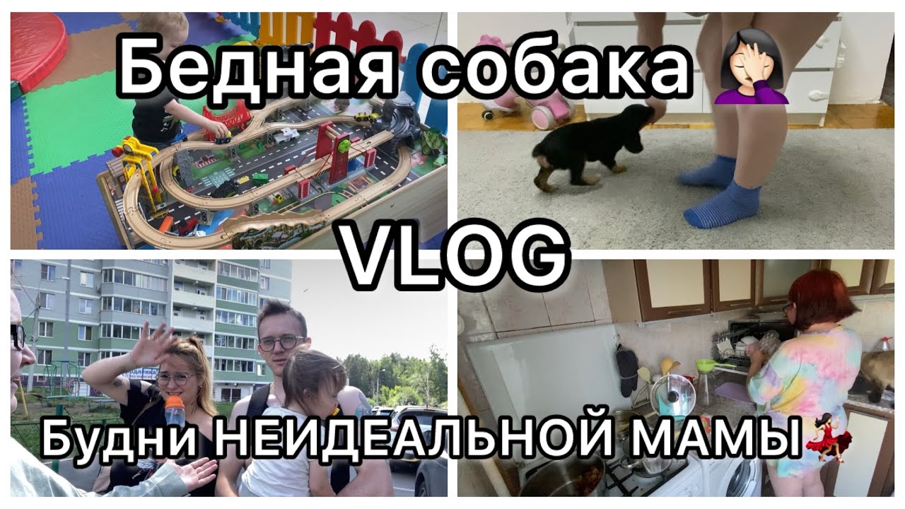 Будни НЕидеальной мамы💃🏻||VLOG||Бедная собака🤦🏻‍♀️