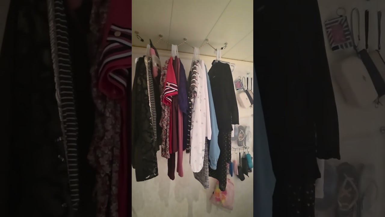 Carnival Venezia 14 day Cruise Interior Cabin Hacks Port Canaveral