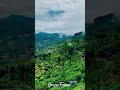 The Misty Heart of the Hills: A Cinematic Journey ⛰️🌬️🌿 #GreenFrame #Shorts #Nature