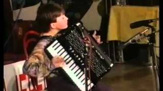 Video thumbnail of "ZLATNA HARMONIKA -Borko Radivojević -1995."