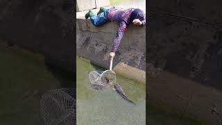 Apa ini rejeki mancing mania 😁 #shorts #shortvideo #mancing #games
