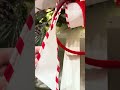 Raz 2.5" X 10 Yds White Glittered Peppermint Edge Wired Christmas Ribbon R4671766