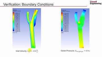Verification and Validation | Steady Flow in an Artery