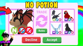 I traded my Neon *NO POTION* Bat Dragon in Adopt Me! (Insane)