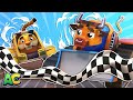 BULL BULLDOZER and POLICE CAR TIGER save the race! | Stop the Bandits |Racing &amp; chasing | AnimaCars