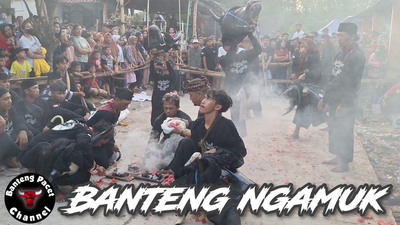 Suronogo Soso Live Sumber Kembar || Macanan & Bantengan