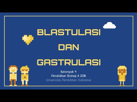 Video: Apa itu Blastula dan Gastrula?