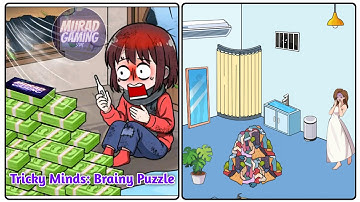 Tricky Minds Brainy Puzzle Level 10: Gameplay Solution