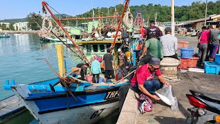 The Hidden Crisis at Chendering Harbor: Fishermen Struggle Against Dangerous Sandbars