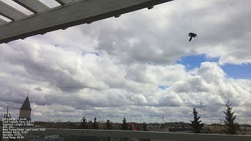 05/20/2019 Raspberry Pi Timelapse