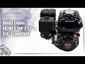 Honda GX200 6.5HP Engine 🔧 196cc Power | Go-Kart &amp; Generator Beast 🔥 April Deals 2026