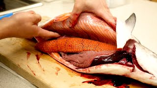 Japanese Fisherman Eats a Rare Mejika Salmon That Can Only Be Caught 1 Out of 1000 Times!