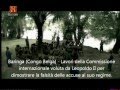 Il congo di leopoldo ii