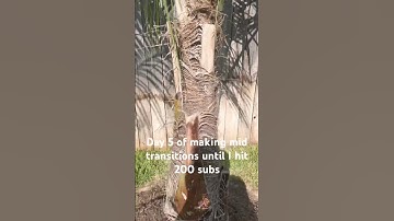 Day 5 of making mid transitions until I hit 200 subs #shorts #transition