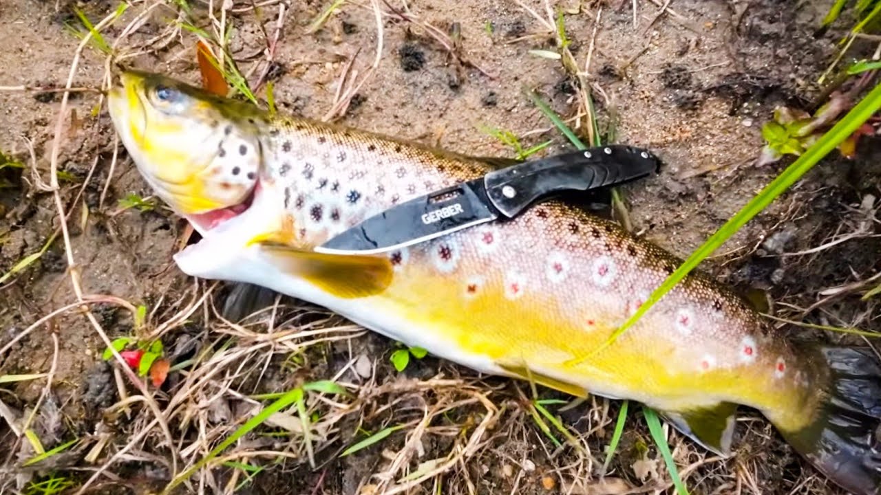 The Best CREEK & RIVER Lure for REACTION STRIKES!