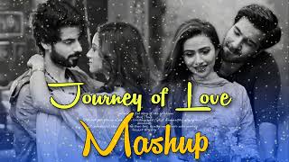 Journey of Love | Mashup 2024 | Slow and Reverb | Latest Hindi Song