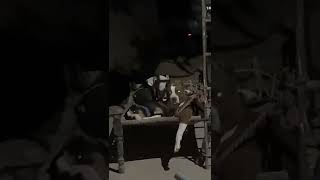 American Pitbull Dogs In Indian Baaz Babbar Billa