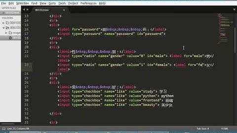 python进阶第七章HTML和CSS 013表单03