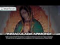 Inmaculada Armonía | Our Lady of Guadalupe | Sacred Music for Praying, Sleeping, Relaxing, Studying