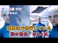 【🌹超高速で飛行している謎の物体／始め4編】銀河連合 FOT トピック
