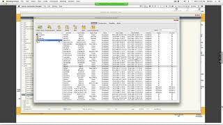 KODAK PRINERGY Layout Automation – Label