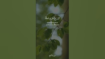 قرآن كريم ❤️ سورة الفتح