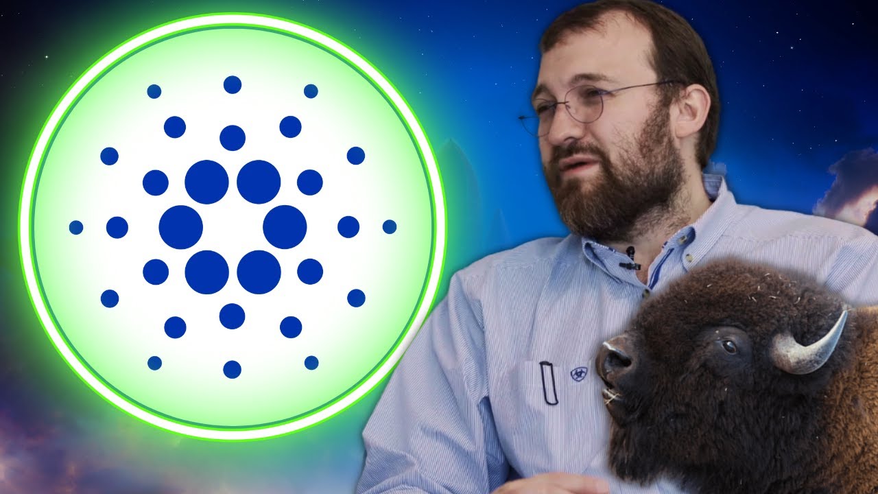 Cardano ADA And Governments.... BIG UPDATE!