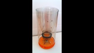 Fruit Fly Trap #shorts
How to make a DIY fruit fly trap. A very simple but effective homemade trap to get rid of vinegar flies. You need just a bottle, a knife or scissors and some bait, like vinegar and a very sweet beverage. You can also try beer, mashed fruit or water with sugar.
Please support my channel on Patreon:
https://www.patreon.com/DiodeGoneWild
Instagram:
https://www.instagram.com/savage_danyk/ Fruit Fly Trap #shorts