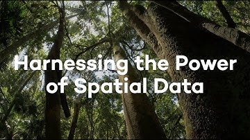 Harnessing the Power of Spatial Data at COP 15