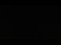 Connecticut Bird Feeder Live Stream