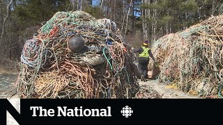 Fishing &#39;ghost gear&#39; cleanup in jeopardy due to funding delays, organizations fear