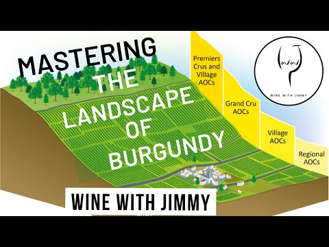 WSET Level 4 Diploma Burgundy Part 2 Landscape and Terroir