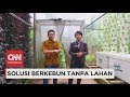 Mencari Solusi Berkebun tanpa Lahan Bersama Desi Anwar