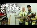 Hoe vindt de douane verboden spullen op Schiphol? | De Buitendienst over Reptielen