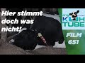 Die Macht der Bild-Manipulation - My KuhTube Film 651