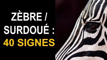 Quelles sont les caractéristiques des surdoués ?