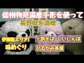 【くいしんぼ】【ひるがみ茶屋】阿智村「物味湯産温泉手形」を使って長野県を満喫