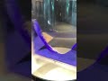 回る水槽　科学館